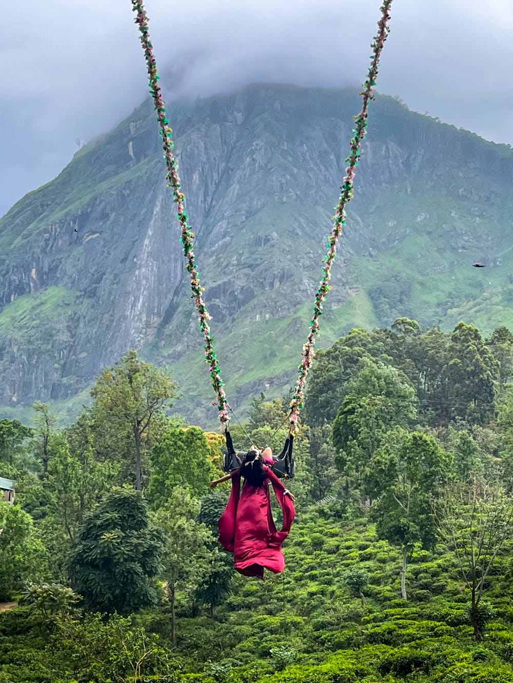 Traveler on the Ella swing above tea country